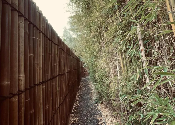 Pensión Domaine Coul'eau